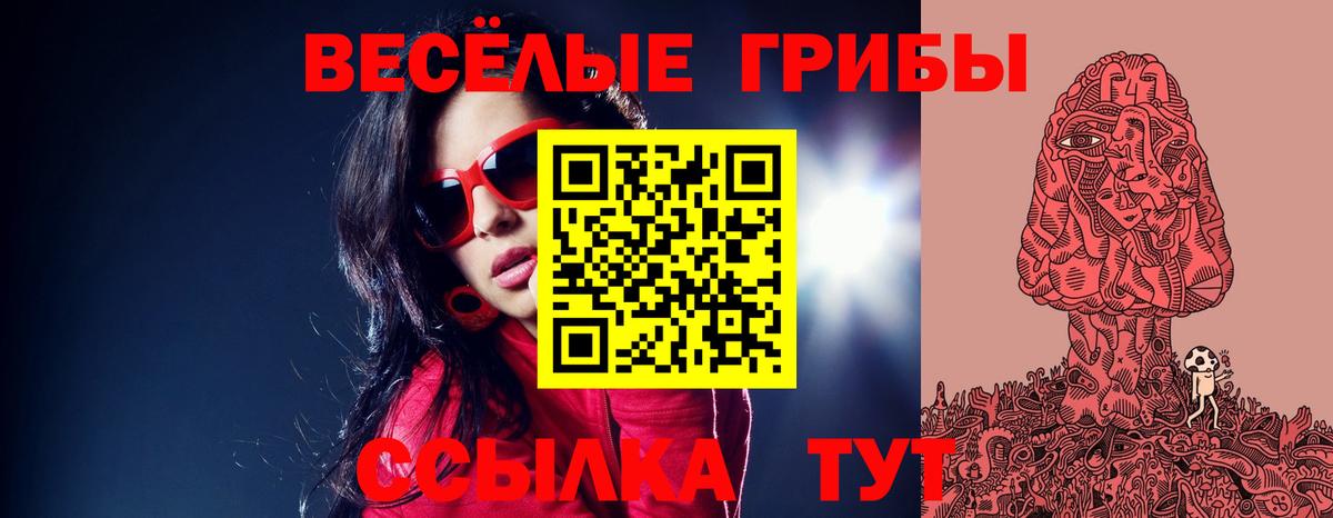 Псилоцибиновые грибы GOLDEN TEACHER  Галлюциногенные грибы MAGIC MUSHROOMS  Вход с VPN  Шахты 