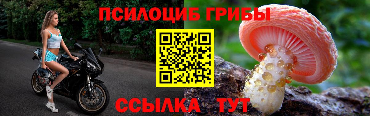 Псилоцибиновые грибы GOLDEN TEACHER Шахты